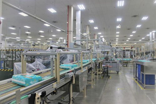 湖北高新技術(shù)產(chǎn)業(yè)與家政服務(wù)創(chuàng)新比翼齊飛，引領(lǐng)區(qū)域高質(zhì)量發(fā)展