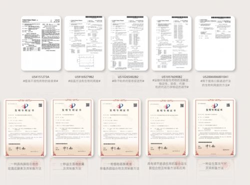 斬獲毫蕪園區(qū)戰(zhàn)略投資,bfb集團(tuán)擎畫健康產(chǎn)業(yè)新藍(lán)圖